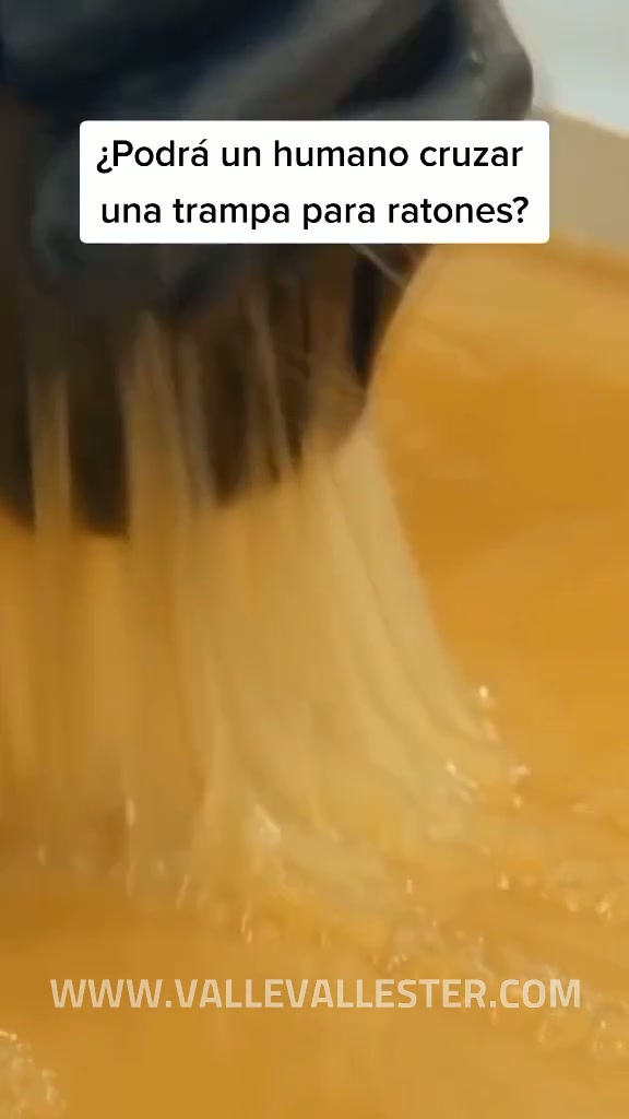 es inevitable pensar que pasaria si nos enfrentara a mosa una gigantesca trampa  1