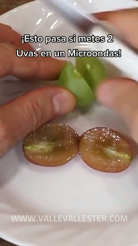 la gente suele meter muchas cosas al horno de microondas pero sin duda la reacci 1