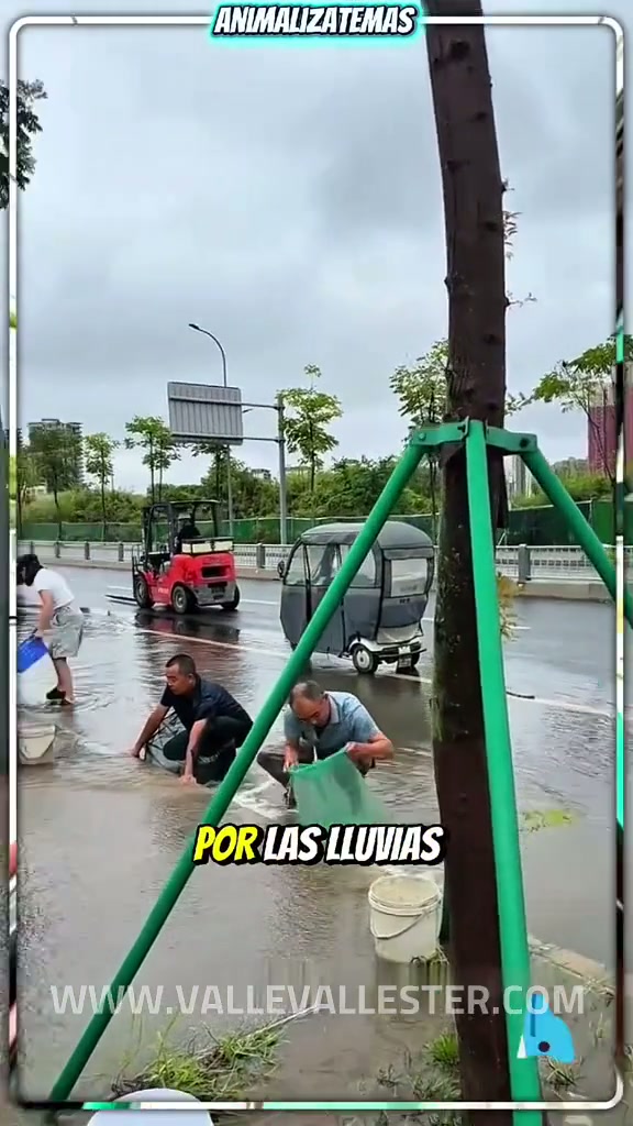 mira como el rio se desbordo por las lluvias y estas personas no perdieron ni un 1