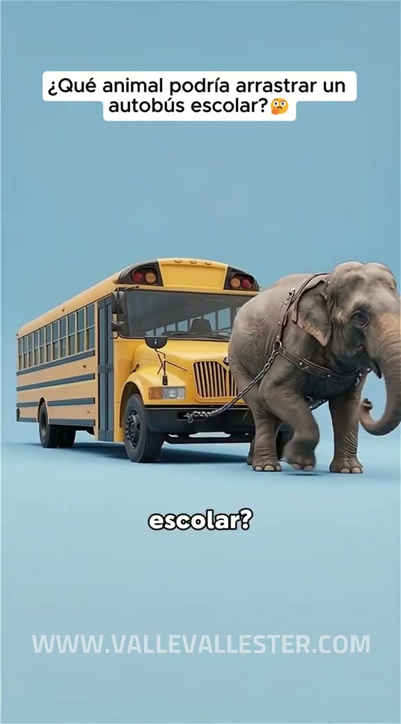 que animal podria arrastrar un autobus escolar un humano promedio infosible aunq