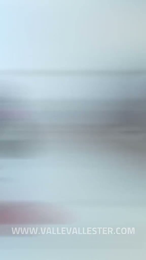 si has visto este meme y recuerdas esta divertida caricatura llamada pinkoo e ve